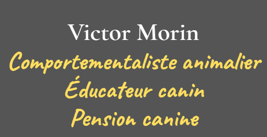 Victor Morin